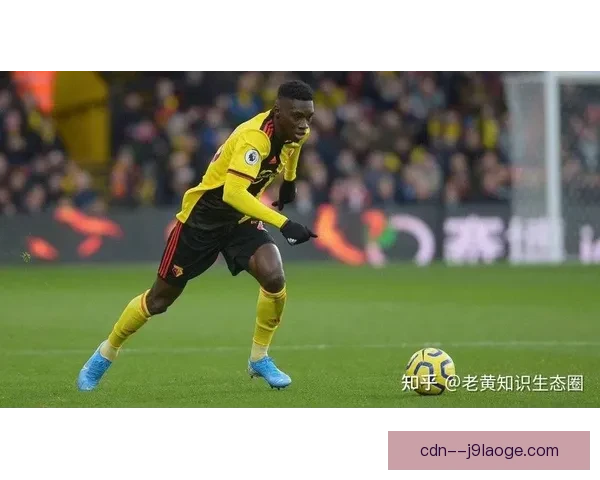 2026世界杯官方志愿者报名人数首次突破一百万创历史新高